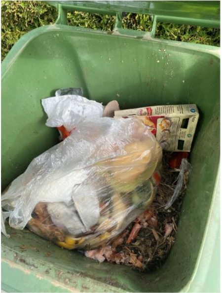 Ab Mai 2025 wird es strengere Regelungen beim Bioabfall geben. © Adobe.stock.com -  Nicolette Wollentin